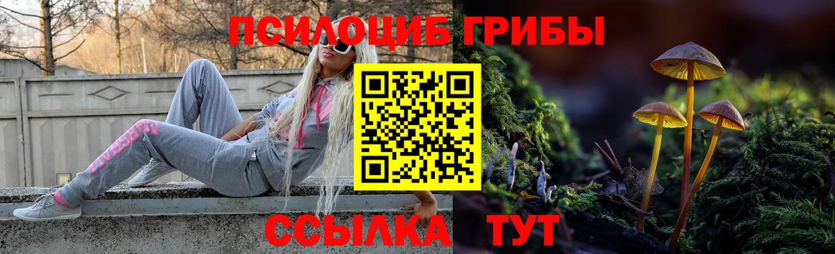 Псилоцибиновые грибы MAGIC MUSHROOMS Кировск