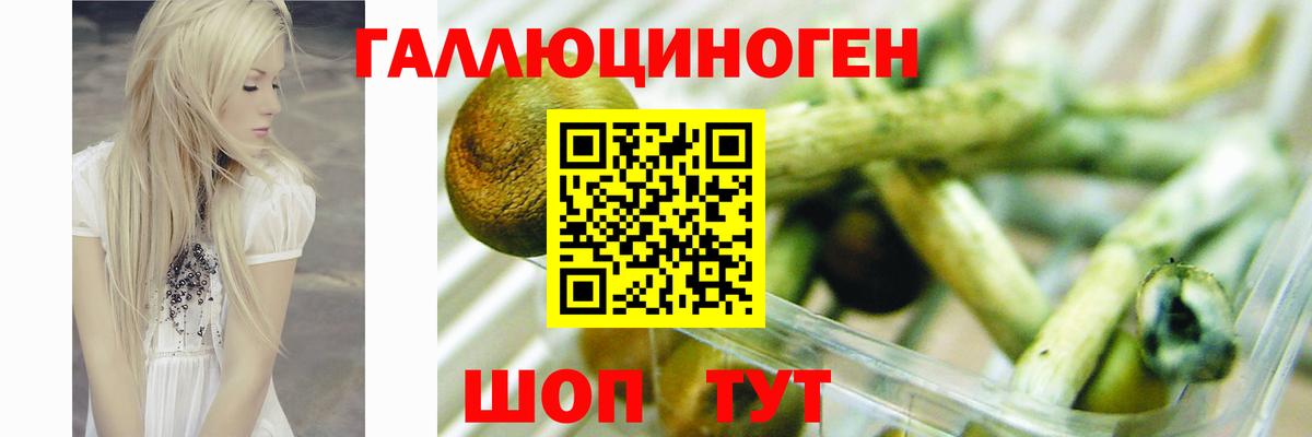 Галлюциногенные грибы Magic Shrooms  Вход с VPN  Кировск 